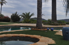 Enlarge photo 61
