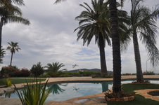 Enlarge photo 66