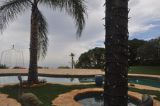 Enlarge photo 71