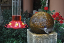 Enlarge photo 81