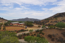 Enlarge photo 100