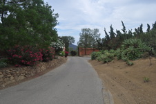 Enlarge photo 107