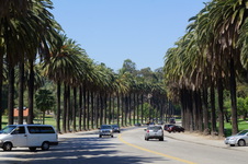 Mexican Road