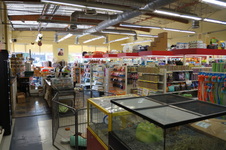 Pet Store