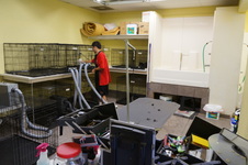 Enlarge photo 31