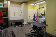 Enlarge photo 32