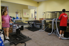 Enlarge photo 34