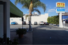 Enlarge photo 49