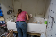Enlarge photo 22
