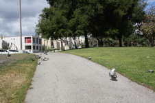 Enlarge photo 12