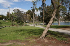 Enlarge photo 20