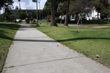 Enlarge photo 30