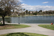Enlarge photo 31