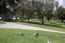 Enlarge photo 33