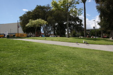 Enlarge photo 34
