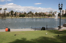 Enlarge photo 35