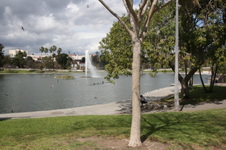 Enlarge photo 40