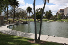 Enlarge photo 45