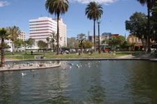Enlarge photo 50