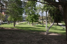 Enlarge photo 52