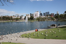 Enlarge photo 53