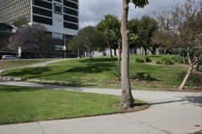 Enlarge photo 54