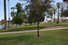 Enlarge photo 56
