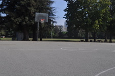 Enlarge photo 37