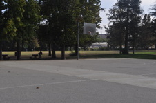 Enlarge photo 40