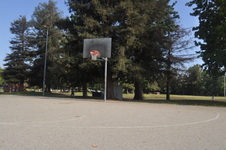 Enlarge photo 41