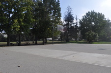 Enlarge photo 42