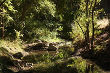 Enlarge photo 5