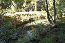 Enlarge photo 10