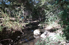 Enlarge photo 11