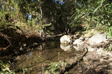 Enlarge photo 13