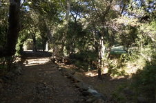 Enlarge photo 15