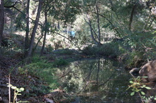 Enlarge photo 16