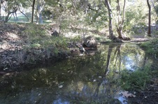 Enlarge photo 17