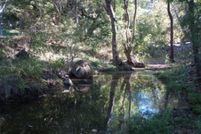 Enlarge photo 18