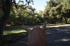 Enlarge photo 24
