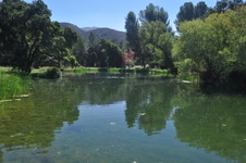 Enlarge photo 5