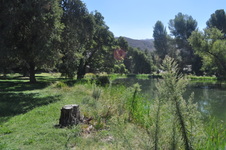 Enlarge photo 9