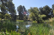 Enlarge photo 11