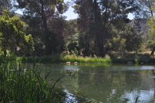 Enlarge photo 12