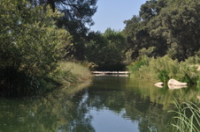 Enlarge photo 13