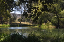 Enlarge photo 15