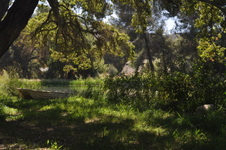 Enlarge photo 16