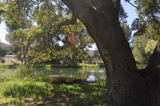 Enlarge photo 17