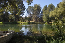 Enlarge photo 19