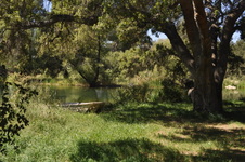 Enlarge photo 20